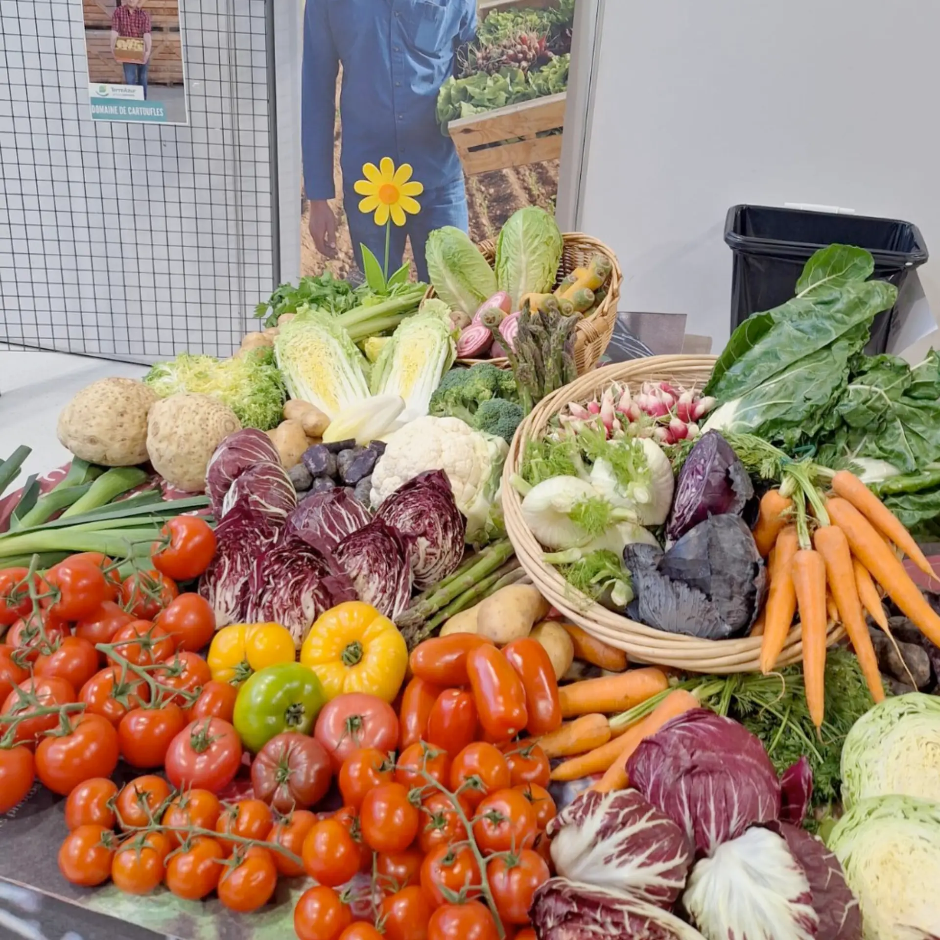Ponto Fruits & Terre Azur